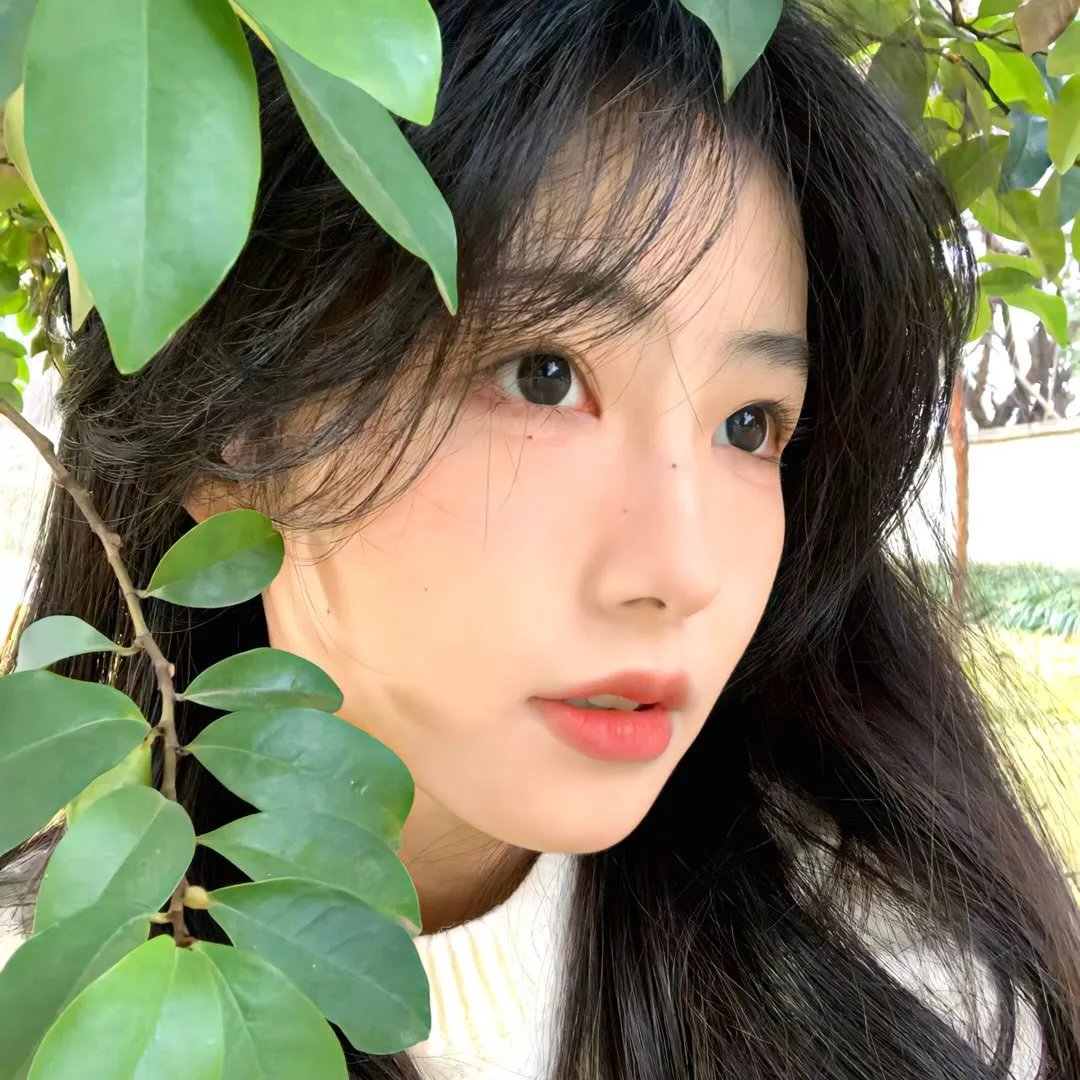 第五元素 海报